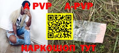 стаф Славгород